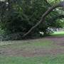 Norbury Hall Park