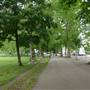Highbury Fields