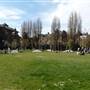 Spa Fields Park