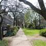 Compton Terrace Gardens
