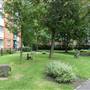Judd Street Open Space