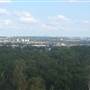 Addington Hills Viewing Platform