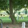 Lambeth Cemetery