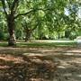 Lincoln's Inn Fields