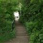 Parkland Walk