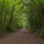 Parkland Walk