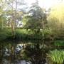 Husseywell Park