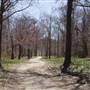 Caumsett State Park