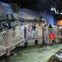Long Island Aquarium