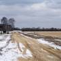 Hammonton