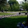 Hammonton - Homes