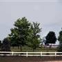 Hammonton - Condos and Vineyard