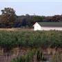 Hammonton with Chestnut Neck