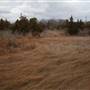 Egg Harbor Township - Lake and Shops
