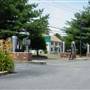 Mays Landing