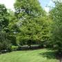 Grangewood Park