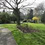 Brenchley Gardens