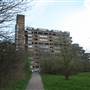 Dawson's Hill