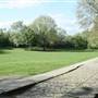 Russia Dock Woodland