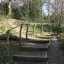 Sydenham Hill Wood
