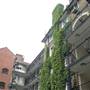 Tabard Gardens Estate