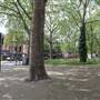 Shepherds Bush Common
