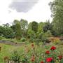 South Park - Flower Garden