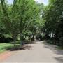 Avondale Park Road Gardens