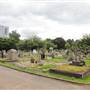 Gunnersbury Cemetery - Main Area
