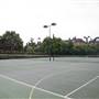 Holland Park - Tennis Court 2 / Netball