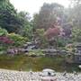 Holland Park - Kyoto Garden