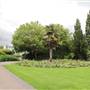 Kensington Memorial Park - Garden