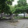 Ropers Gardens