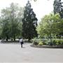 Bishops Park - Play area and Café