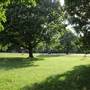 Ravenscourt Park - Main Park