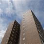 Aintree Estate