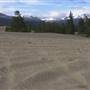 Carcross Desert