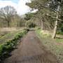 South Norwood Country Park