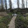 South Norwood Country Park