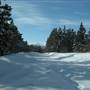 Fish Lake Road March