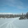 Fish Lake Road March
