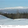 Grey Mountain Road