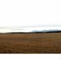 Haines Junction Field