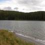 Long Lake Summer