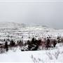 Mt MacIntyre March