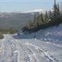 Mt MacIntyre Road