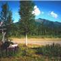 Silver Trail Inn