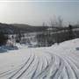 Yukon Wildlife Preserve