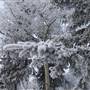 Whitehorse Winter Street Scenes