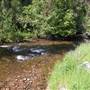 Wolf Creek Campground